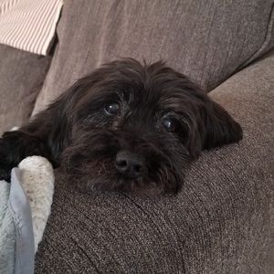 Meet your Posher, Kelsey